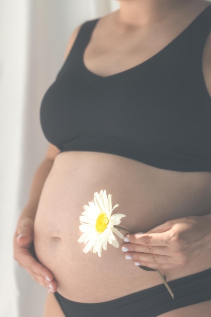 Free Photo closeup of pregnant woman holding white daisy flower near her big belly