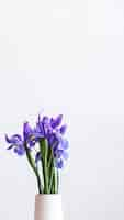 Free photo closeup of purple irises in a white vase mobile phone wallpaper