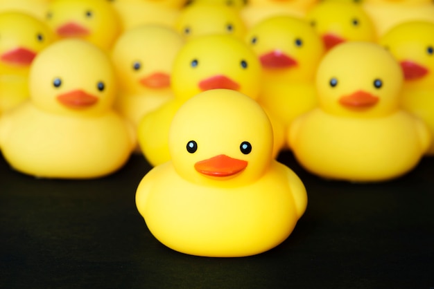 Free Photo closeup of rubber duckies