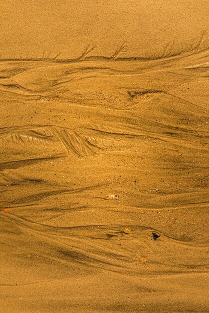 Closeup of sand with tidal ways and shells on the beach full frame texture background