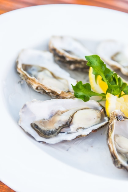 Free photo closeup shellfish bivalve background raw