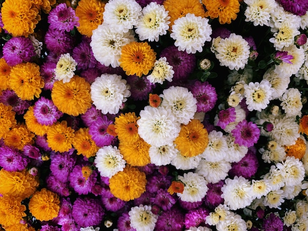 Free photo closeup shot of a beautiful flower composition - great for a colorful backgorund or wallpaper