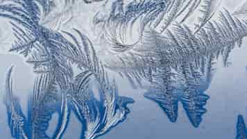 Free photo closeup shot of beautiful frost patterns and textures on glass