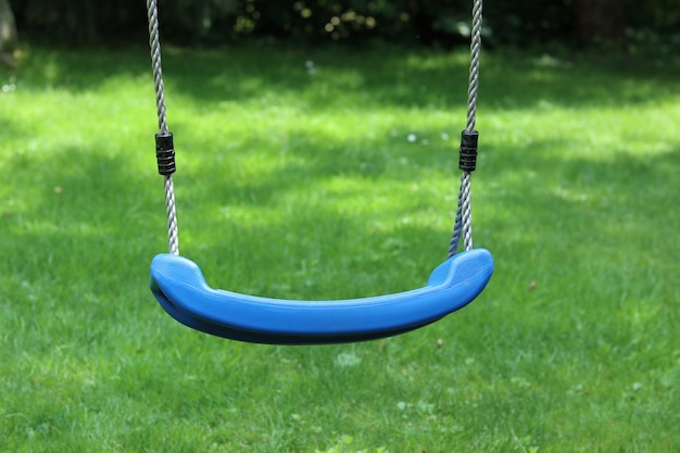 Free photo closeup shot of a blue swing with green grass in the background