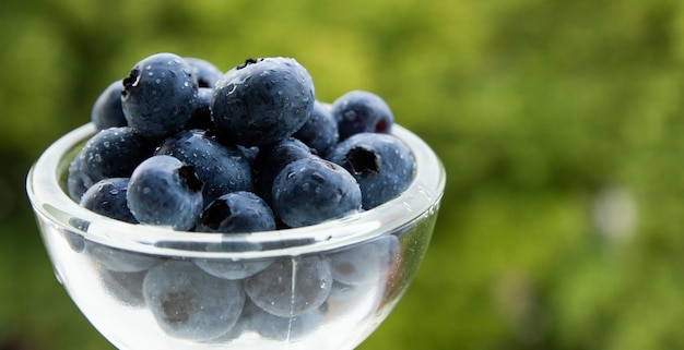 Free Photo closeup shot of blueberries in a glass bowl