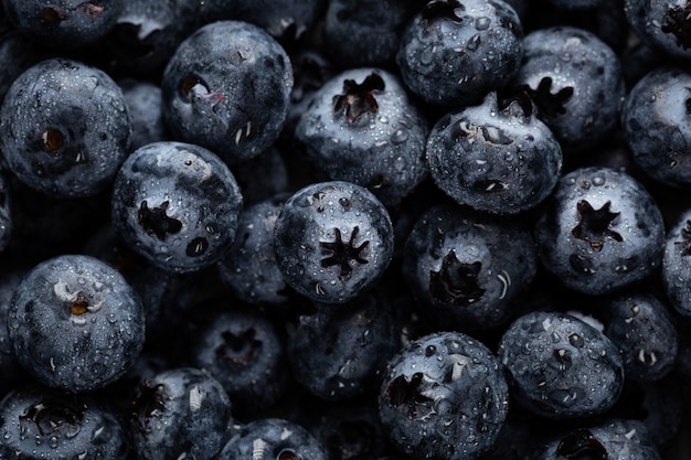 Closeup shot of blueberries with water droplets