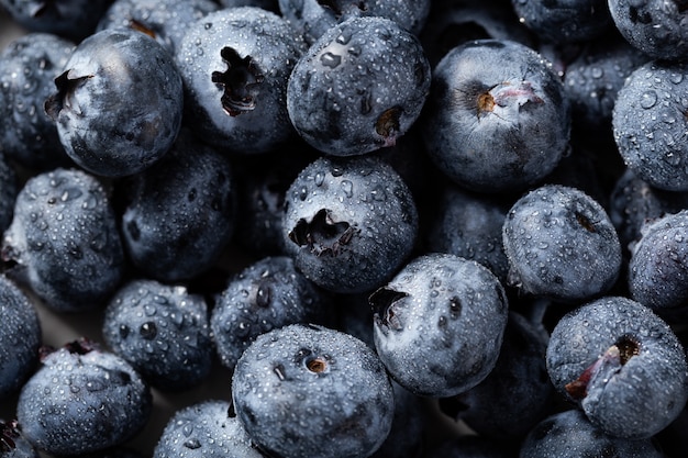 Closeup shot of blueberries with water droplets