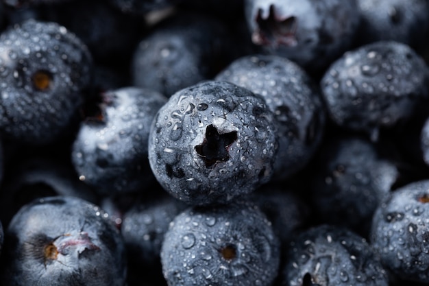 Free photo closeup shot of blueberries with water droplets