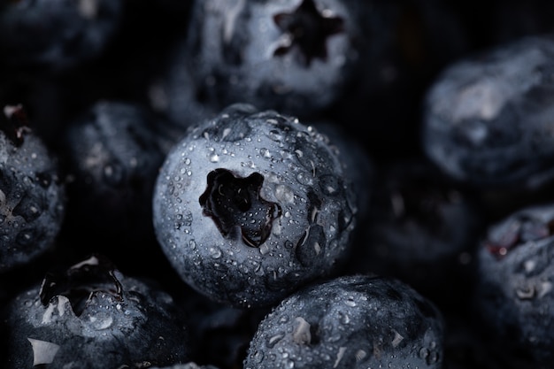 Closeup shot of blueberries with water droplets