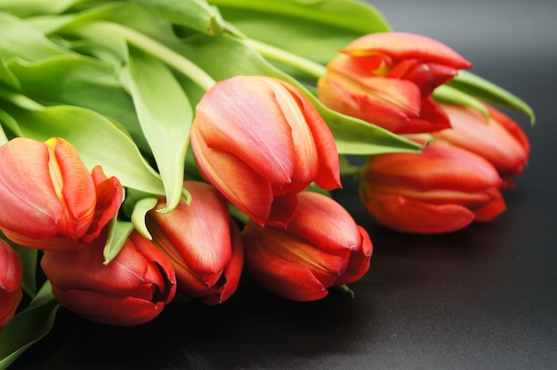 Closeup shot of a bouquet of orange roses taken in a studio