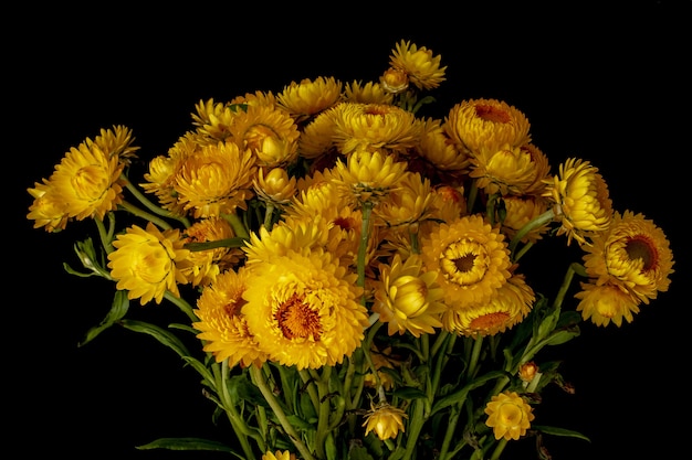 Free photo closeup shot of a bouquet of yellow flowers behind a dark background