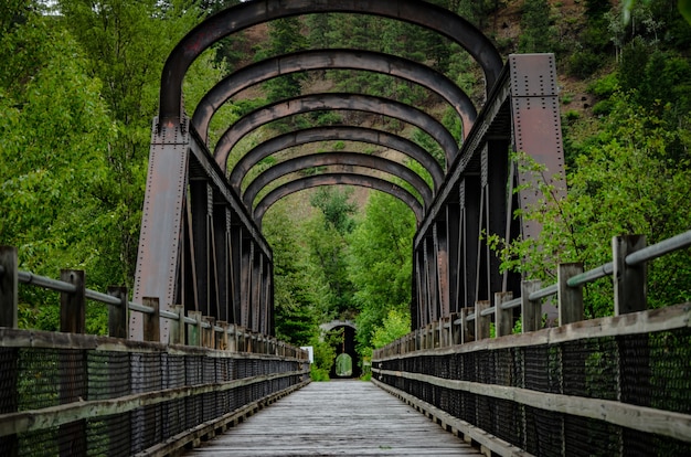 Closeup shot of a bridge in a park