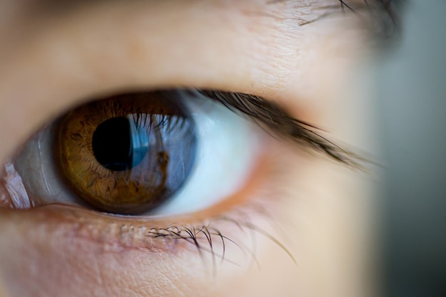 Closeup shot of a brown Asian eye