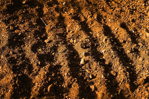 Free Photo closeup shot of brown field soil with visible small stones