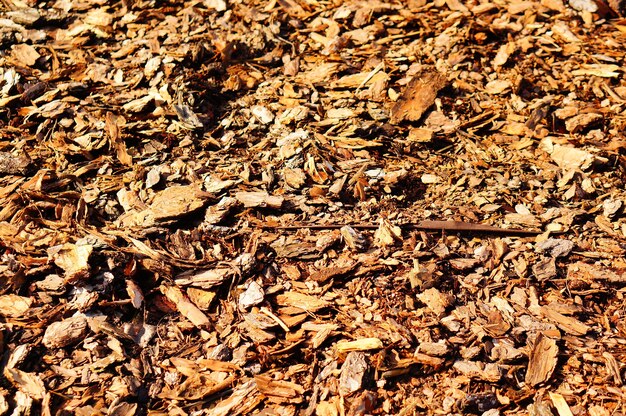 Closeup shot of brown leaves on the ground at daytime