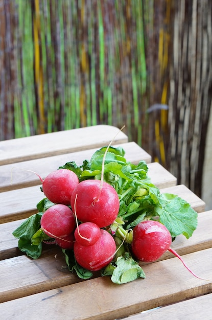 Free photo closeup shot of a bundle of fresh red radish on a wooden surface