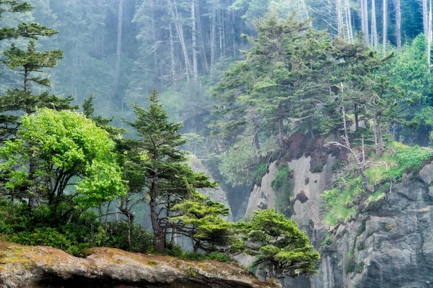 Closeup shot of the Cape Flattery in Washington, USA