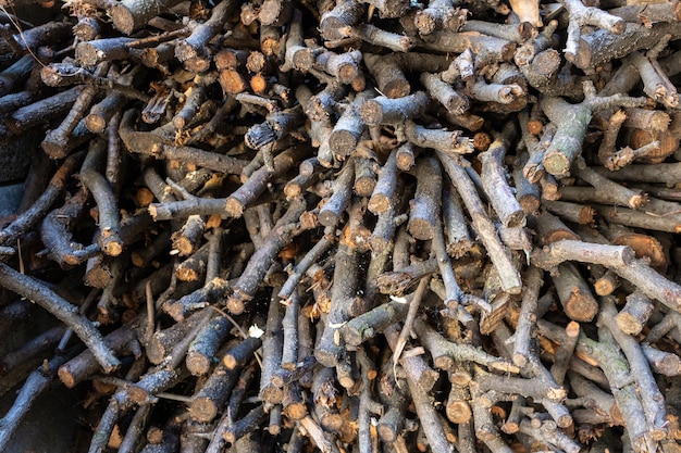 Closeup shot of cut dry tree logs arranged in a big stack