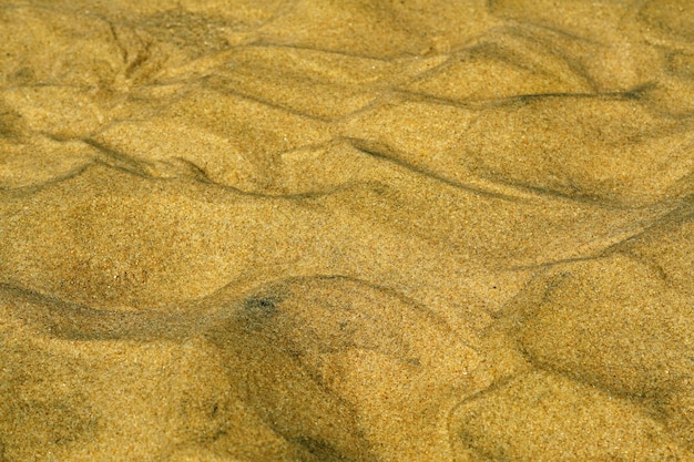 Free Photo closeup shot of different patterns made out of the sand