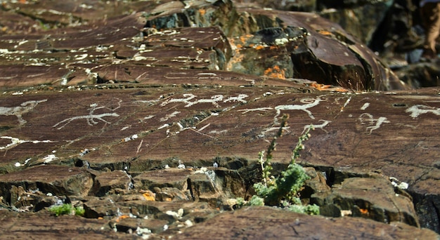 Free Photo closeup shot of drawings on stones of prehistoric humans before civilization