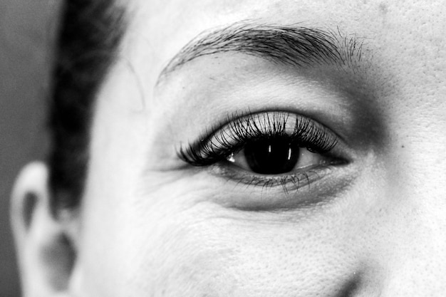 Free Photo closeup shot of an eye of a female in grayscale