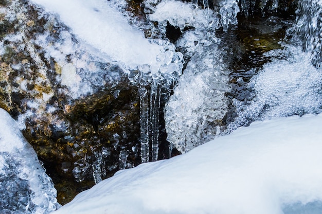 Free photo closeup shot of flowing water with a frozen rock during winter