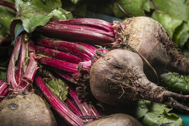 Free photo closeup shot of fresh organic beets