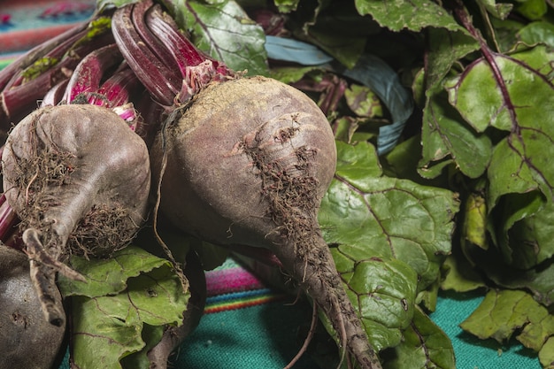 Free photo closeup shot of fresh organic beets