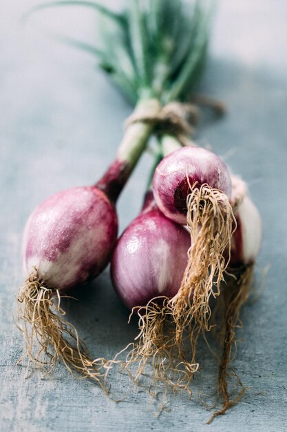 Closeup shot of fresh shallots on a blurred surface