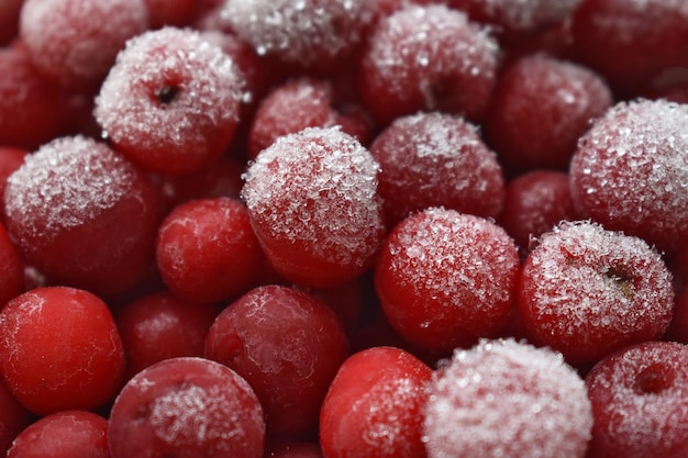 Closeup shot of frosted red berries