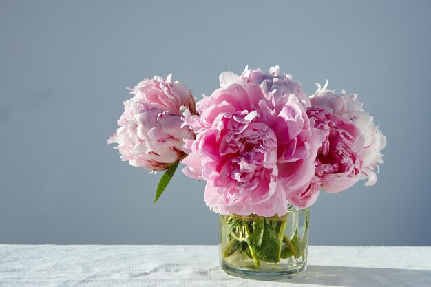 Closeup shot of gorgeous pink peonies in a short glass jar on gray table