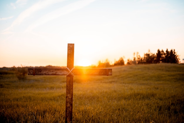 A closeup shot of a handmade wooden cross in the field with the sun shining