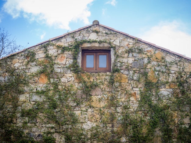 Free Photo closeup shot of a house with stone light wall and old window with green plants