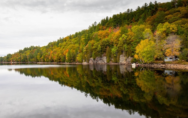 Closeup shot of the Lake Muskoka in Ontario, Canada