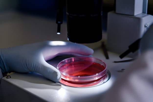 Free photo closeup shot of a person studying coronavirus particles with a microscope