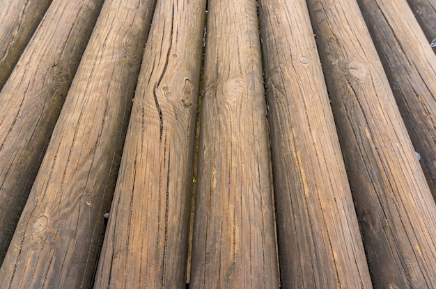 Free photo closeup shot of a pile of tree logs