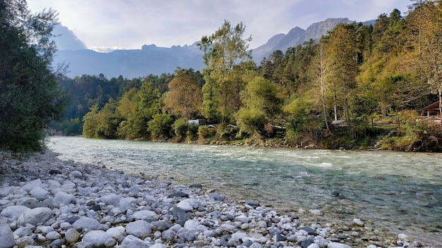 Free photo closeup shot of a river flowing in an autumn forest