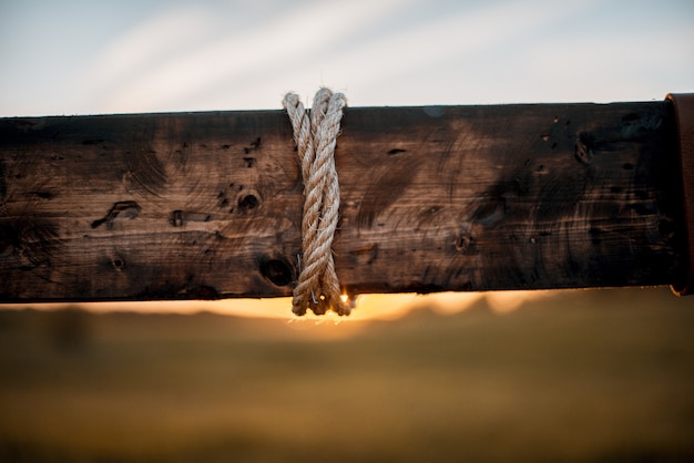 Free Photo closeup shot of a rope wrapped around a wooden plant