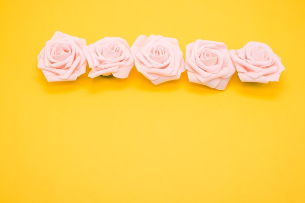 Closeup shot of a row of pink roses isolated on a yellow background with copy space