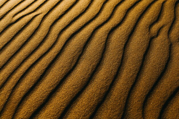 Free Photo closeup shot of sand dunes on a beach