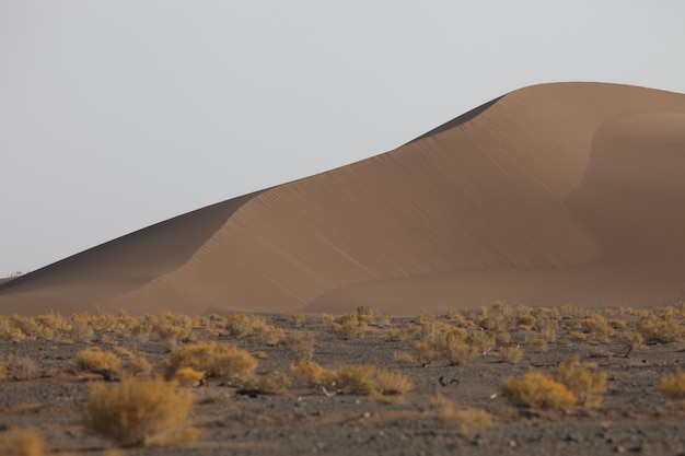 Free photo closeup shot of sand dunes in xijiang, china