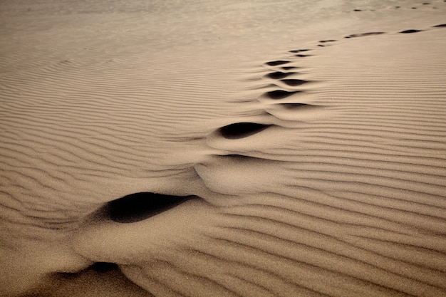 Free Photo closeup shot of singing sand in a desert on a sunny day