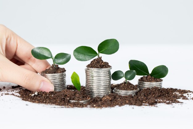 Closeup shot of tiny plants in metal containers isolated on white scene