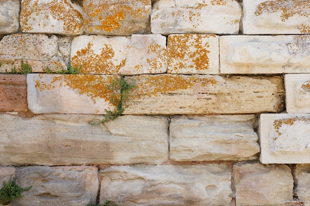 Free Photo closeup shot of a wall made of white stones