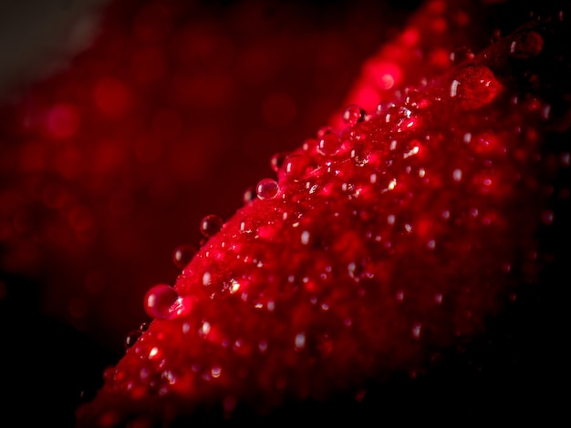 Closeup shot of water droplets on a red fluffy surface - perfect for aesthetic backgrounds