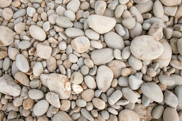 Free photo closeup shot of white small pebbles-background