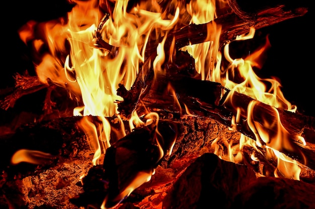 Free photo closeup shot of wood burning in bright flames