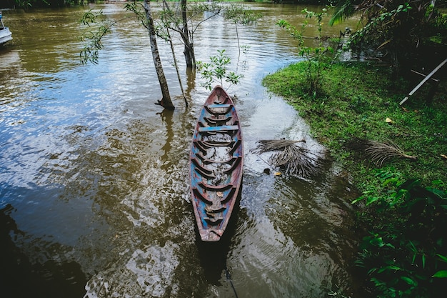 Free Photo closeup shot of a wooden boat on the lake in brazil