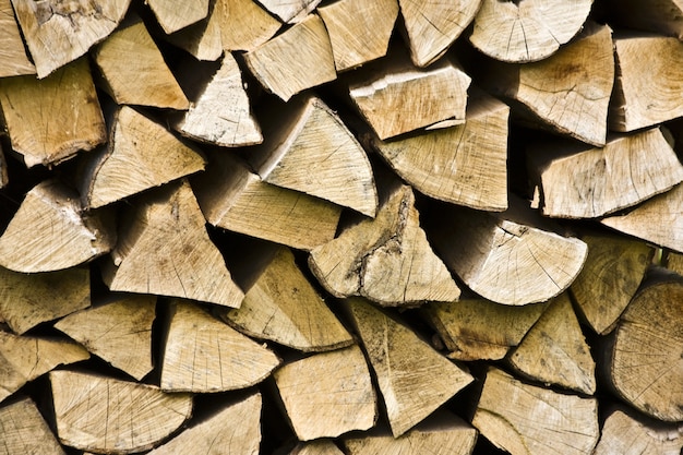 Free photo closeup of stacked tree lumber under the sunlight at daytime