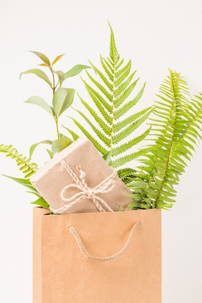 Free photo closeup-up of a gift box and green fern leaves in brown paper bag